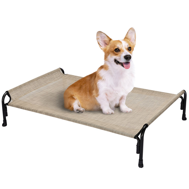 Elevated dog bed outdoor 2025